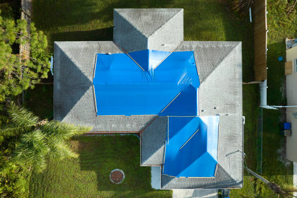 Best Skylight Installation and Repair  in New Hampton, IA